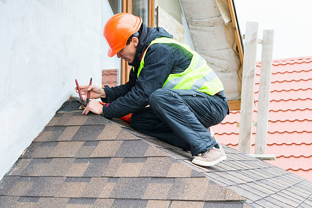 Best Roof Gutter Cleaning  in Zuni Pueblo, NM